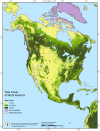 Tree cover of North America.