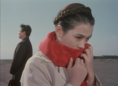 aozoramusume:Warm Current (Yasuzo Masumura,1957)