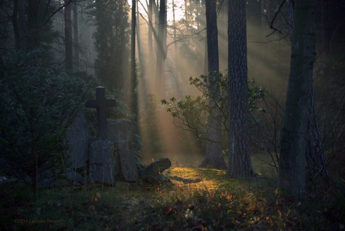 asiwaswalkingallalone: - Forest Cemetery - by UNexperienced