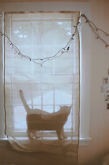 admited:  vertical vintage blog