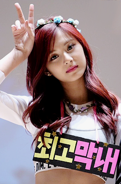 tzuyuchouu:  cr: Twice0614 