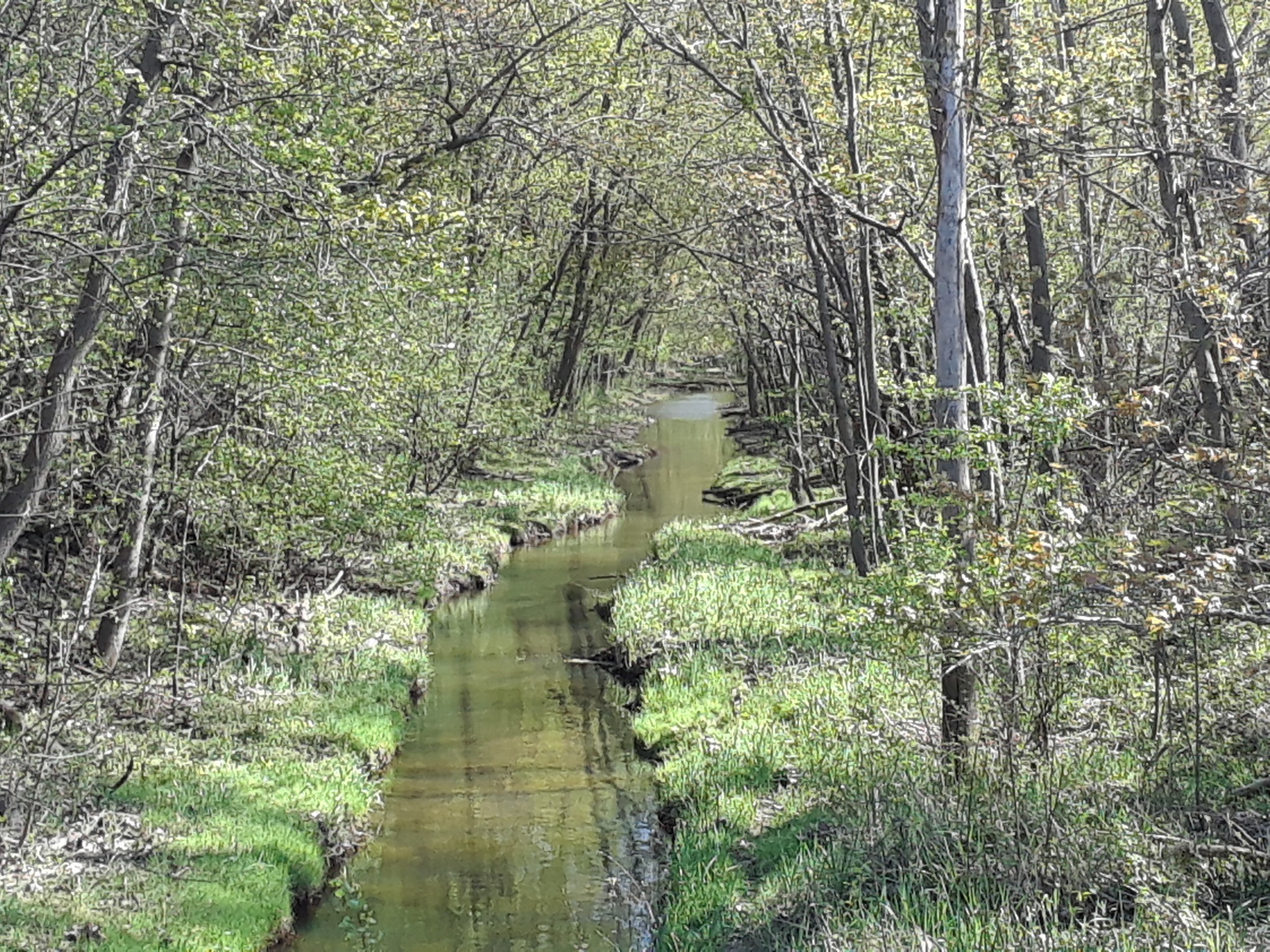 tiredbogwoman:What a beautiful little creek!!! ♡☆