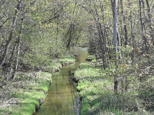 tiredbogwoman:What a beautiful little creek!!! ♡☆
