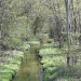 tiredbogwoman:What a beautiful little creek!!! ♡☆