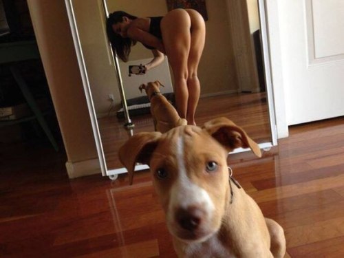 butt-wait:  http://butt-wait.tumblr.com/ adult photos