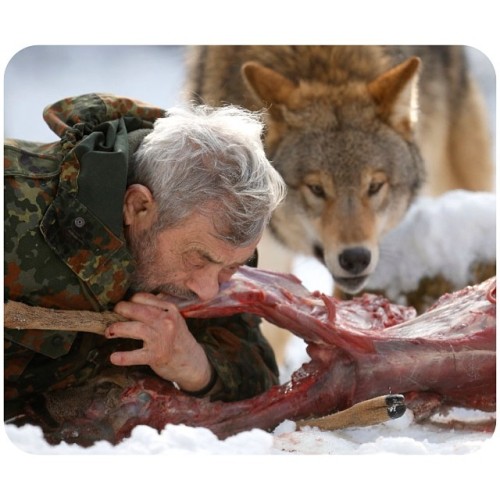 bone-lust:Wolf researcher Werner Freund chomps into a leg of deer at Wolfspark Werner Freund, in Mer