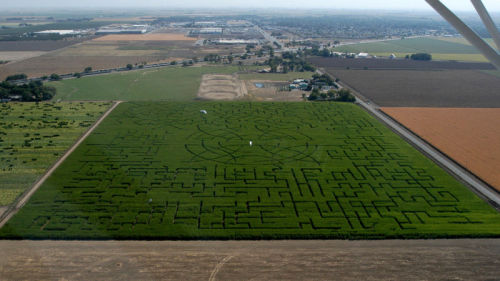 archatlas:  Labyrinths and Mazes   Villa Pisani Garden - Venice, Italy The Hampton Court Maze - London, United Kingdom Andrassy Castle - Tiszadob, Hungary  Longleat Hedge Maze - Wiltshire, United Kingdom Ashcombe Maze - Melbourne, Australia Teichland