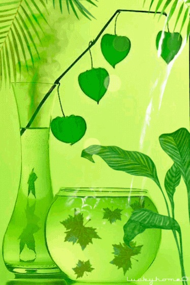 Image from DES GIFS ET DES VIDEOS PAS COMME LES AUTRES