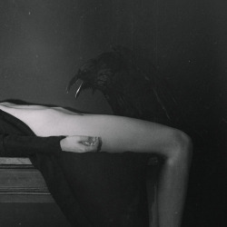 slobbering:Lovers by Laura Makabresku