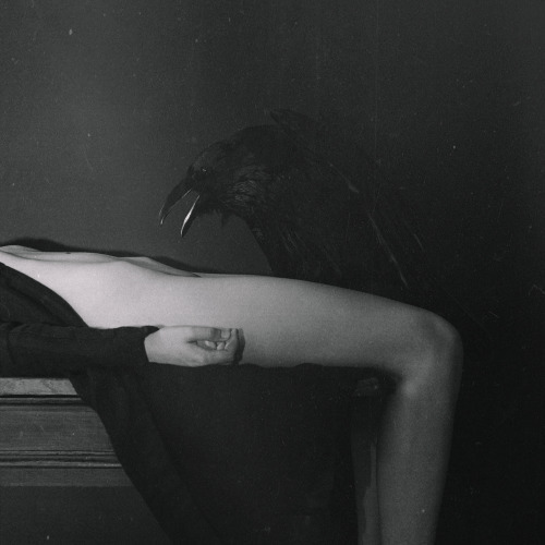 Porn photo slobbering:Lovers by Laura Makabresku