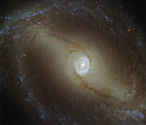 sci-universe: Hubble Sees a Galaxy With a Glowing HeartThe galaxy known as NGC 1433 is a type of ver