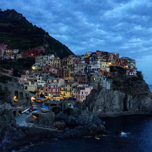 sarahvisualart:  Manarola by night / Manarola by day from above 