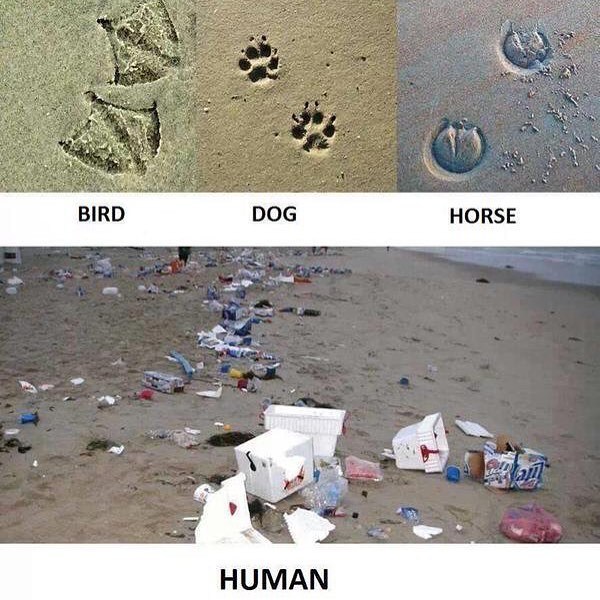 Humans, let&rsquo;s do better. Happy Earth Day. #protectourplanet 🌎 by nikkibenz
