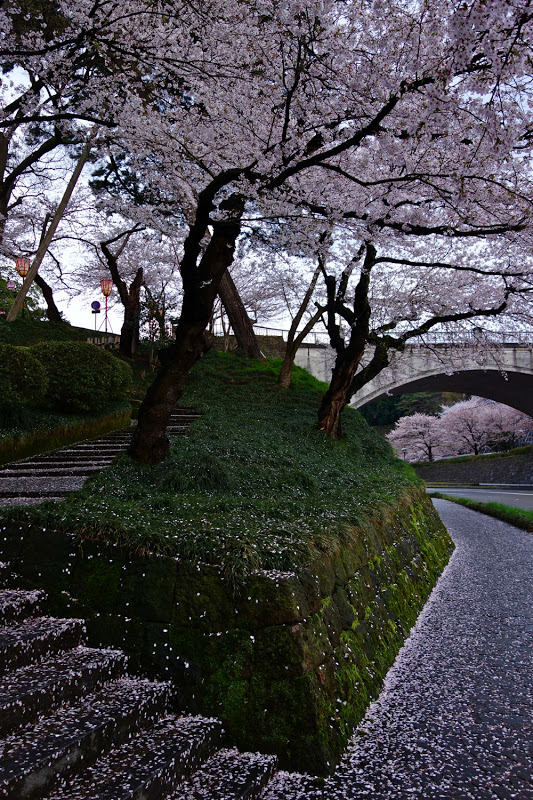 daitao:  by モリ川ヒロトー 