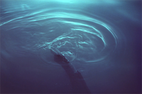 Water Slide series by Daisuke Yokota, 2009Also