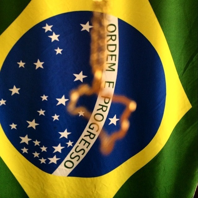 flor nordestina