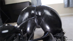 bdsm-orgasms:  Live BDSM Orgasms on webcam