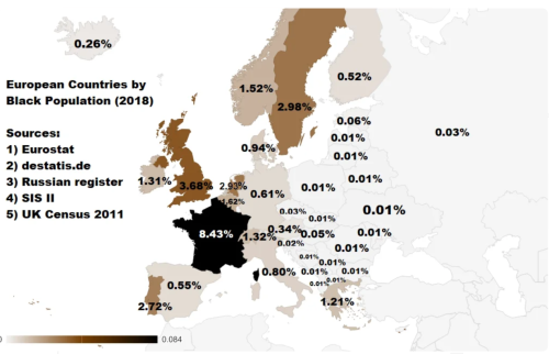 Europe�s black population has increased by at least a million over the last decade
