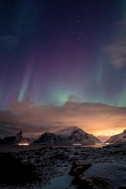 atraversso:   Do they Know? | Shot in Lofoten islands Norway Photographer: Tommy Johansen Source: 500px