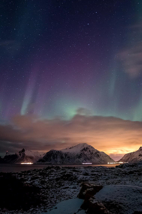 Do they Know? | Shot in Lofoten islands Norway Photographer: Tommy Johansen Source: 500px
