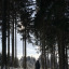 immerdasselbe