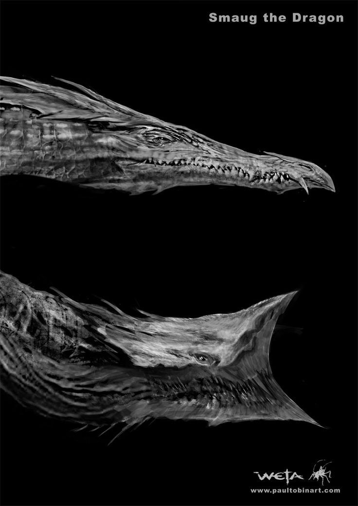 mustang-sauvage: Smaug Head Concept Arts by Paul Tobin 