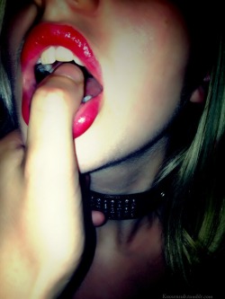 yumyummytumtummy:  knownsub:  More of my collar :)  knownsub                             Main Tumblr * Wish List * smutty.com                                           Secondary Tumblrs                