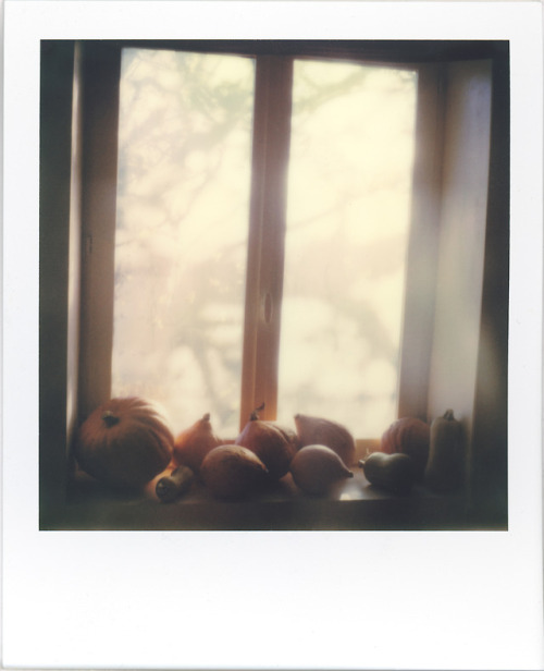 Memories of autumn.Morvan, FrancePolaroid SLR670-S, Polaroid Originals Color 600