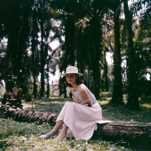 missingaudrey:  Audrey Hepburn by Leo Fuchs, 1958 