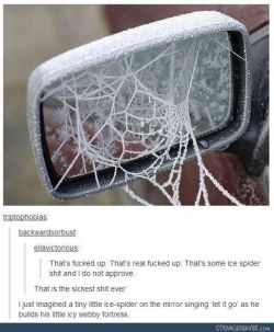 itsstuckyinmyhead:  Spiders and Tumblr 