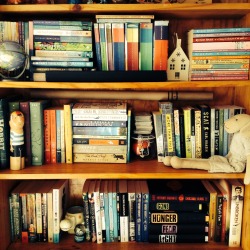  procrastinatingmylife: Reorganised my bookshelf