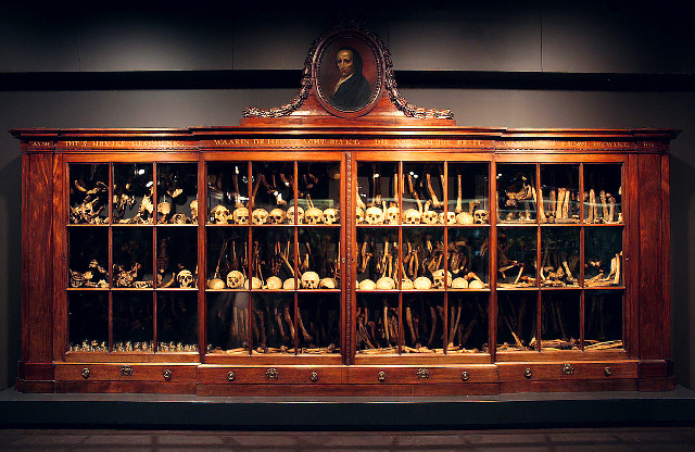 cartilage-and-fluid:  pythox:  Vrolik Museum, Amsterdam  I kind of want to live there