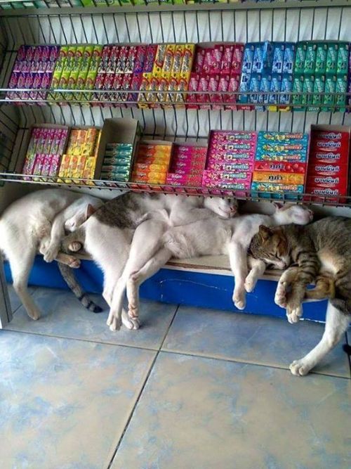 oooooooo:  Pinterest