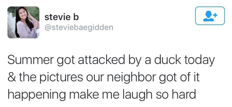 kingpollo:  officialschool:  mens-rights-activia:  me as a mom  me as a neighbor