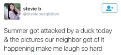 kingpollo:  officialschool:  mens-rights-activia:  me as a mom  me as a neighbor  I’m the duck 