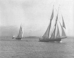 lazyjacks:  Schooner racing off Georges Island,