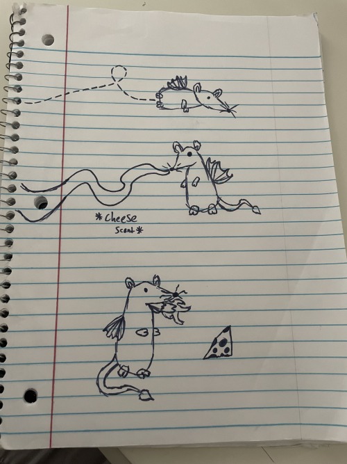 Ive Drawn Drats (or Ragons But Drats Is Funnier)