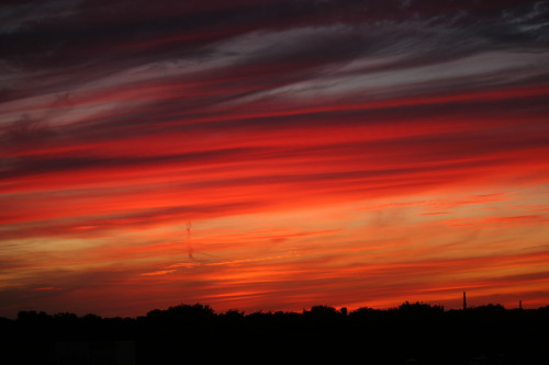 notbecauseofvictories: red sky at night, sailor’s delight / red sky in the morning, sailors ta