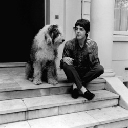amoralto:  Paul McCartney with his sheepdog
