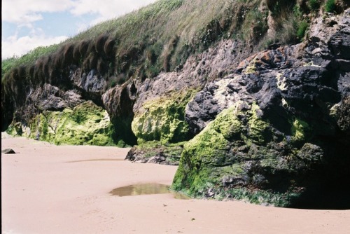 I’m in love with the texture of this beach 