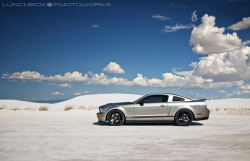 automotivated:  WhiteSandsSnake (by Lunchbox PhotoWorks)