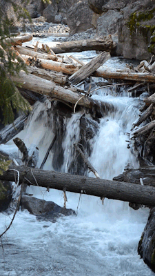 connie-awanderingsoul: Whychus Creek Falls,