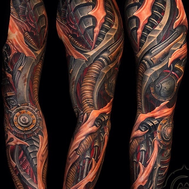 Biomech sleeve