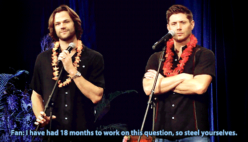 sensitivehandsomeactionman: Jensen is tired of Jared’s long answers (*^▽^*) | HonCon 2017 [x]