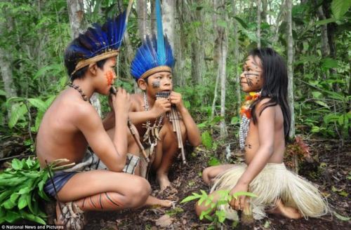 Brazilian Desana people, Rio Negro (Amazon). The Desana Indians – a native tribe which ranges from t