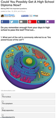 fulltimerock:  sideb00b:  sideb00b:  congrats. i give you all your honorary high school diploma   shit it got better            mitochondria 