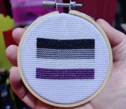 Last one for tonight – the Asexual flag is back in stock.https://www.shop.raeyn.com/product/