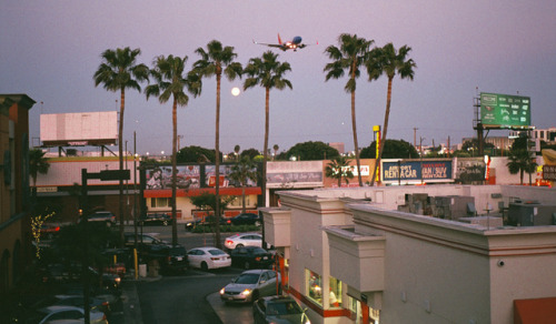 marshallaphoto:Los Angeles, California