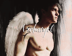 tobiasherondale:  FAVORITE BOOKS:↳ Angelfall