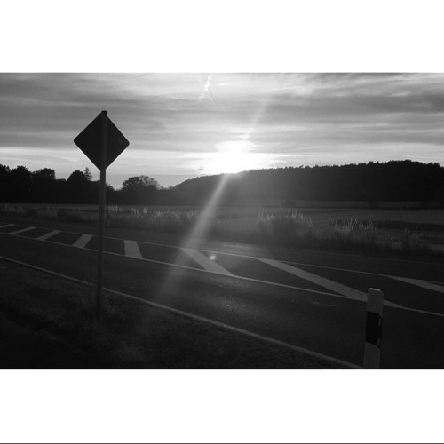 Yield \\ #adidasHQ #adidaslife #blackandwhite #cinematography #pearljam #sunset #hzo #herzo #3stripe